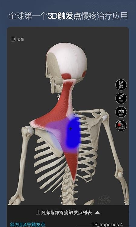 维萨里3D解剖教学