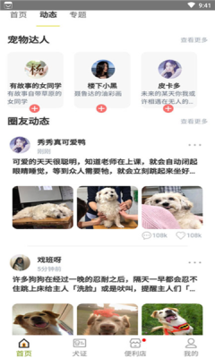 绵州犬管