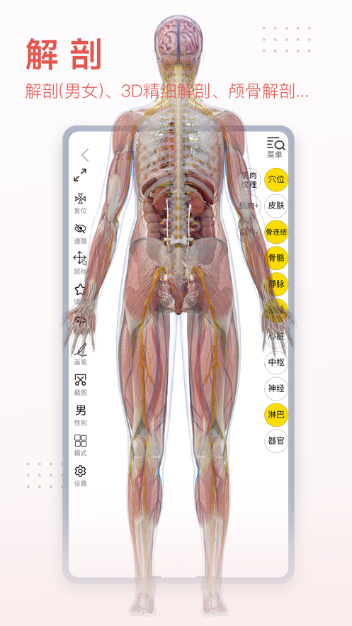 3Dbody解剖最新版