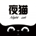 夜猫追剧免费下载小说全文